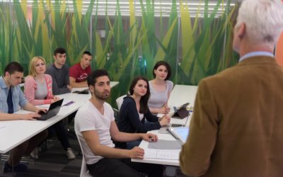 Qual a importância do professor no processo de formação do profissional?